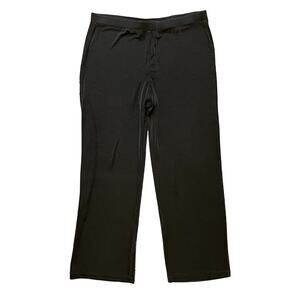 CHICO'S Travelers Wrinkle Resistant Straight Leg Pull On Pants in Brown SZ L